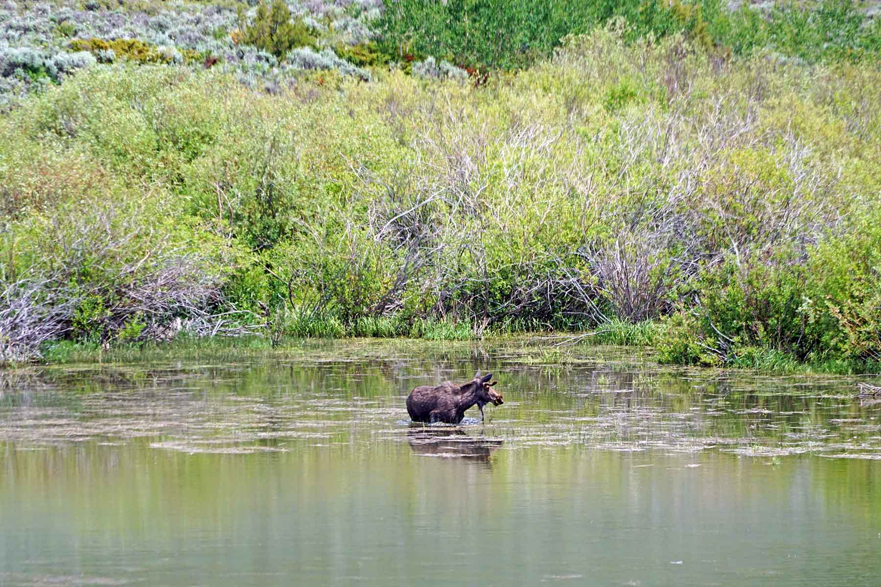 Marietta Creek Ranch property picture 22 of 59