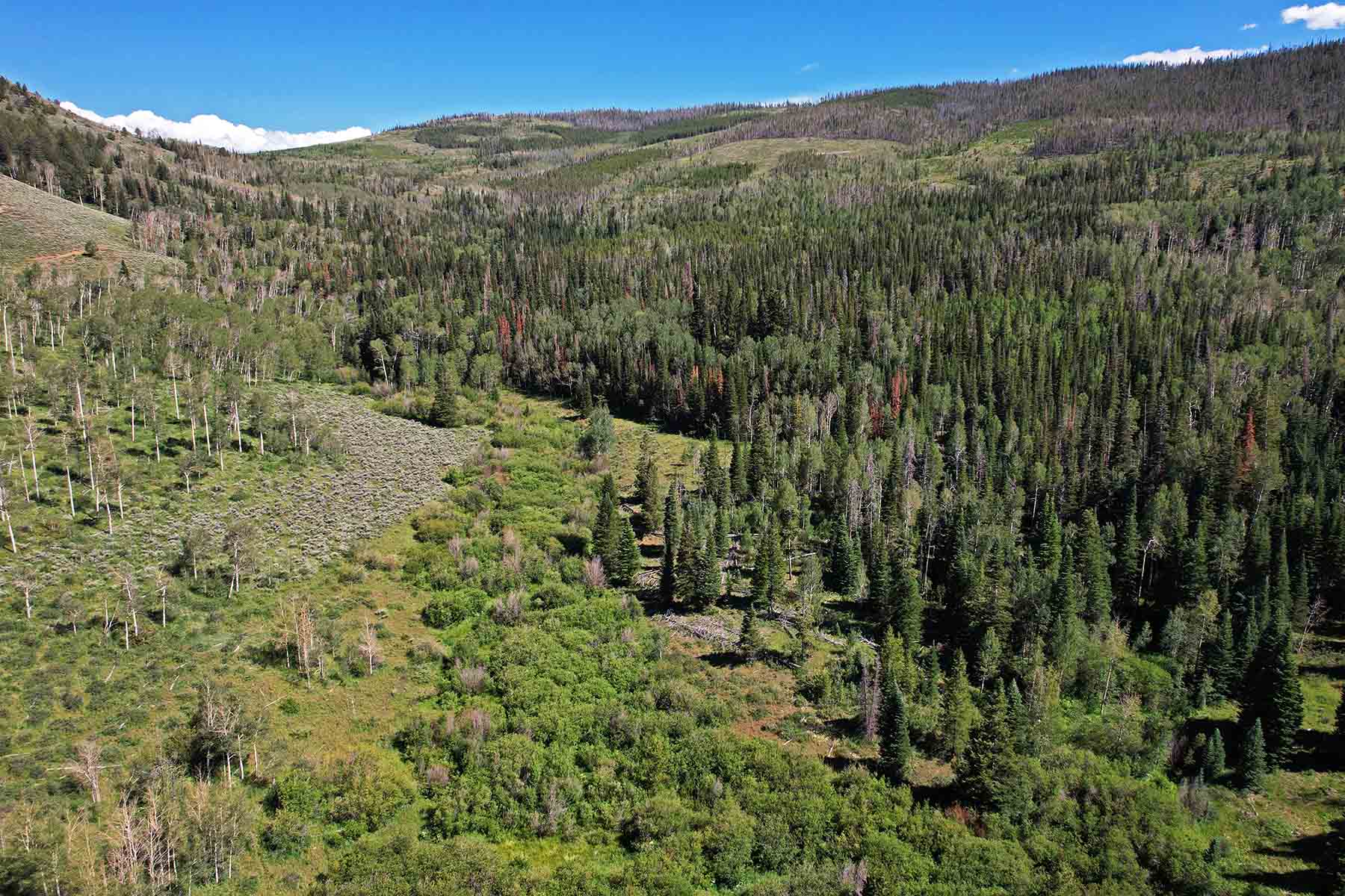 Marietta Creek Ranch property picture 35 of 59