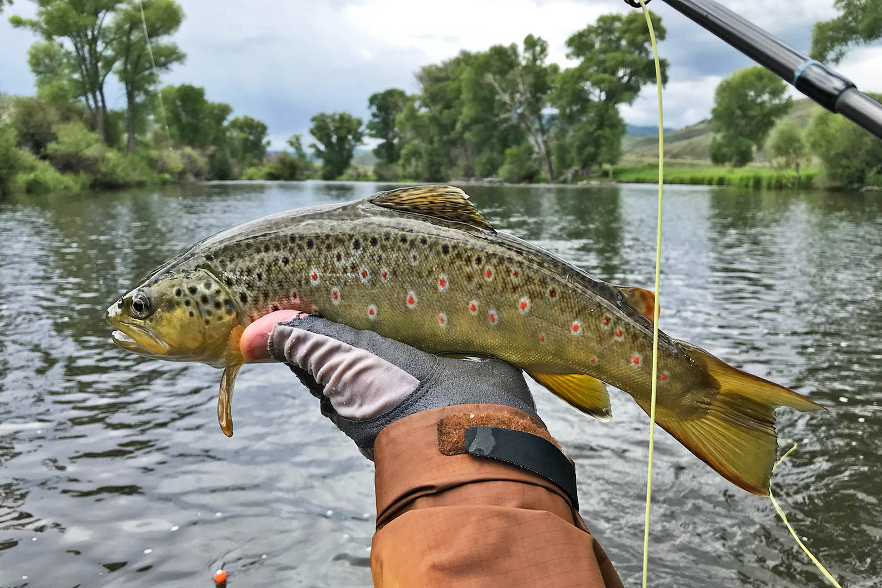 Marietta Creek Ranch property picture 3 of 59