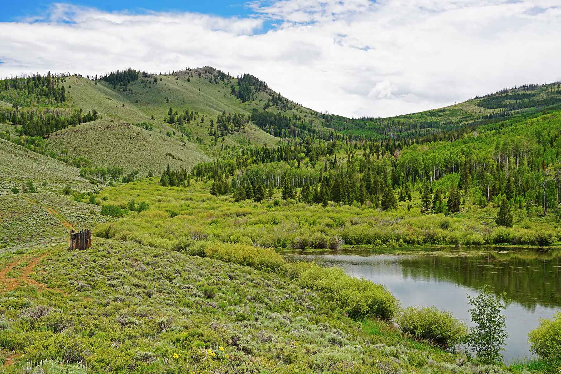 Marietta Creek Ranch property picture 46 of 59