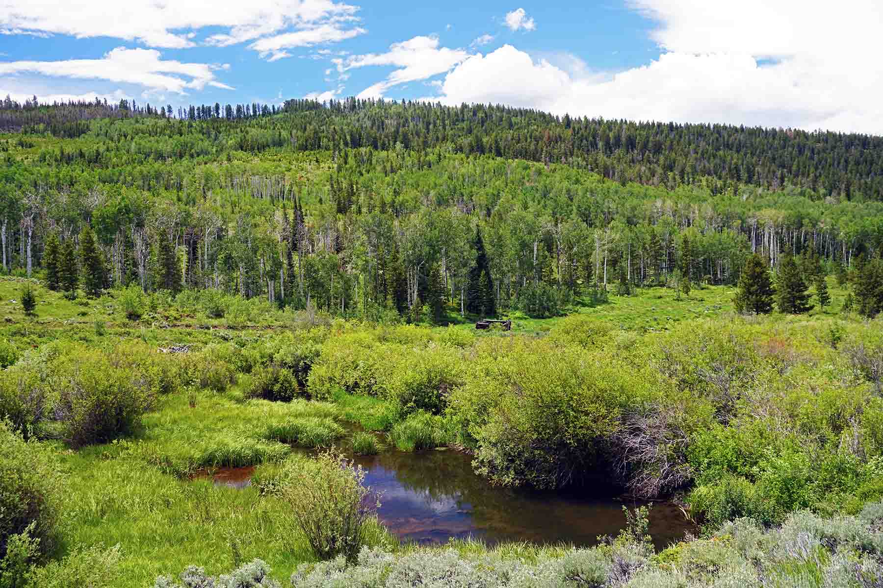 Marietta Creek Ranch property picture 47 of 59