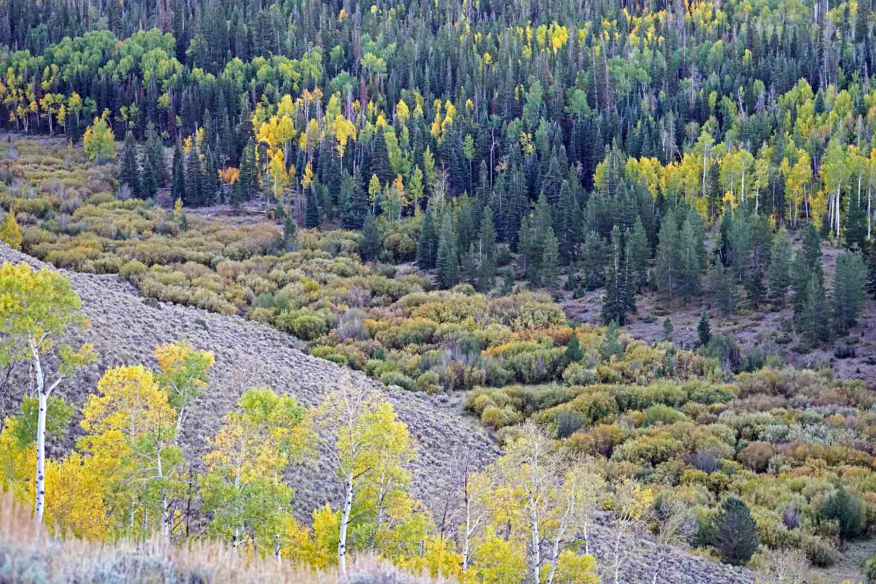 Marietta Creek Ranch property picture 8 of 59