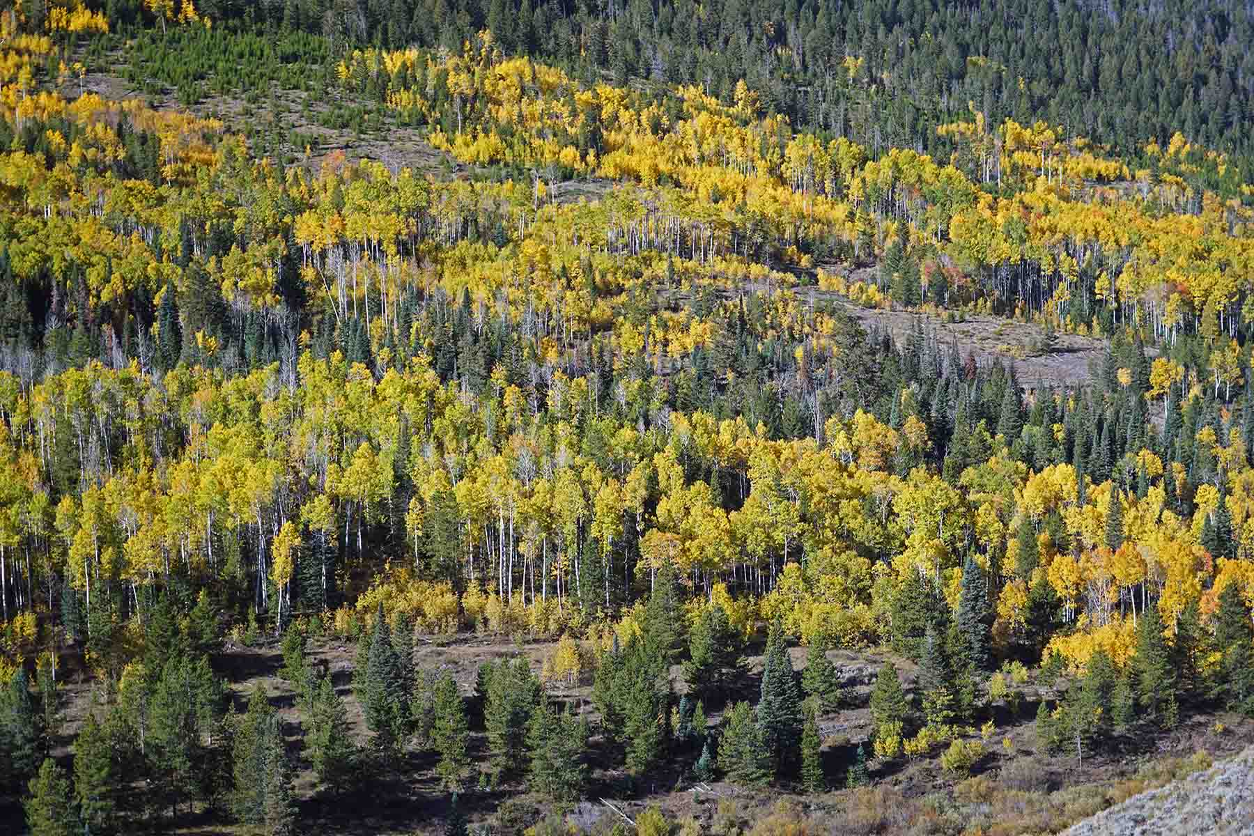 Marietta Creek Ranch property picture 24 of 59