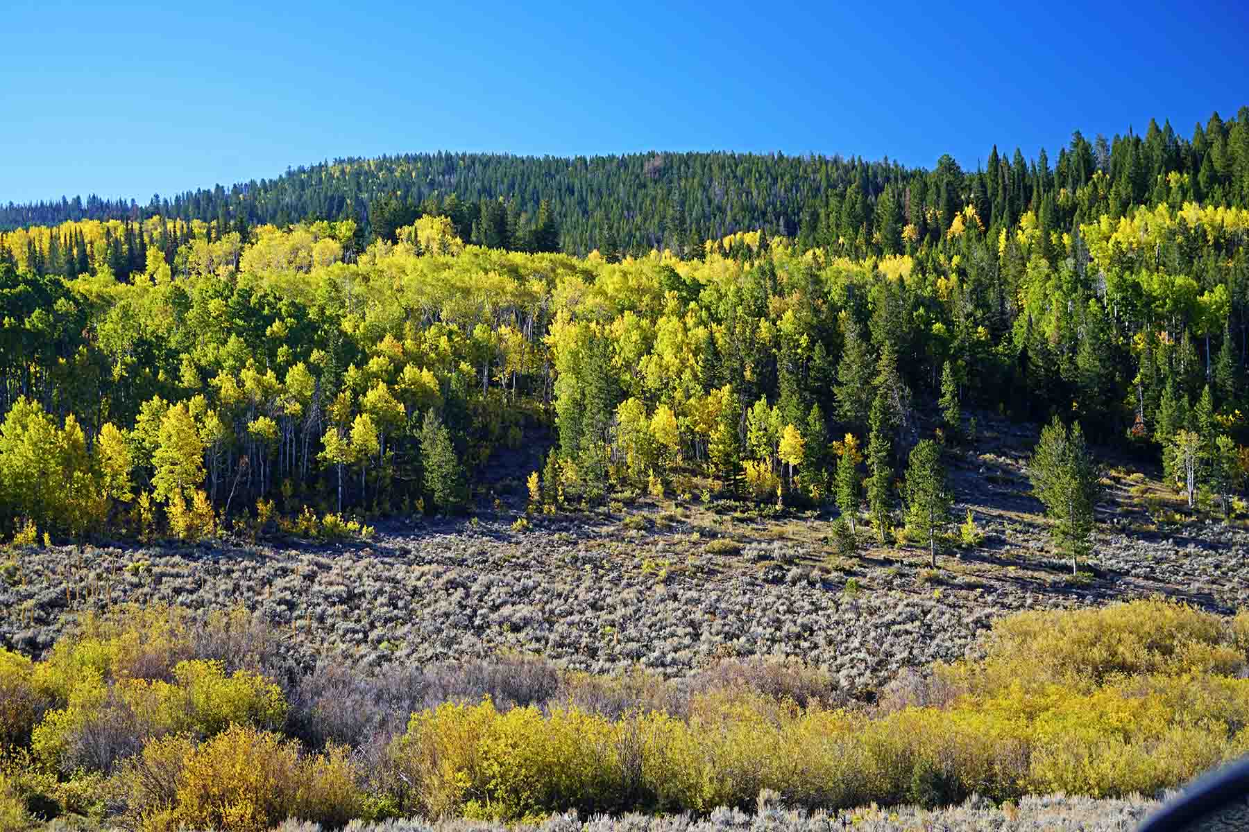 Marietta Creek Ranch property picture 15 of 59