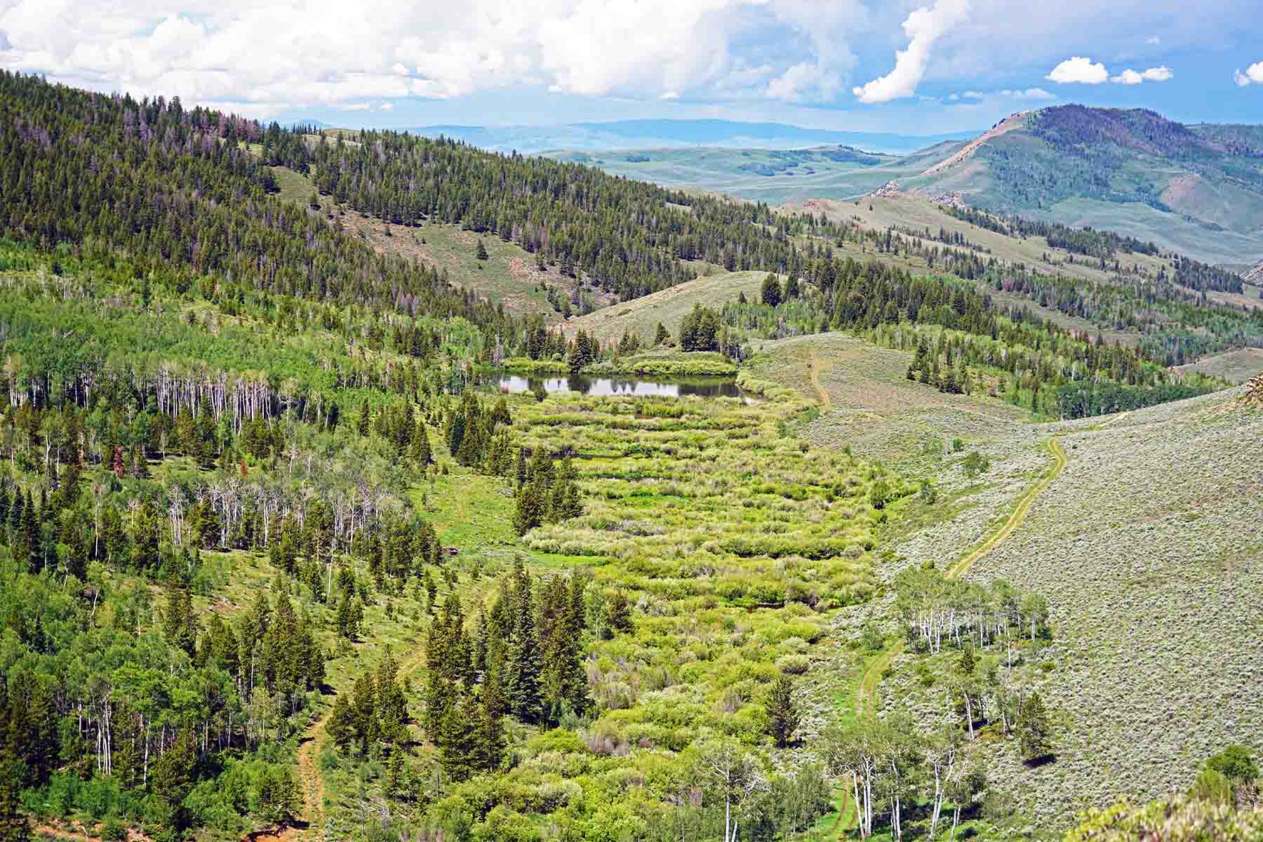 Marietta Creek Ranch property picture 49 of 59