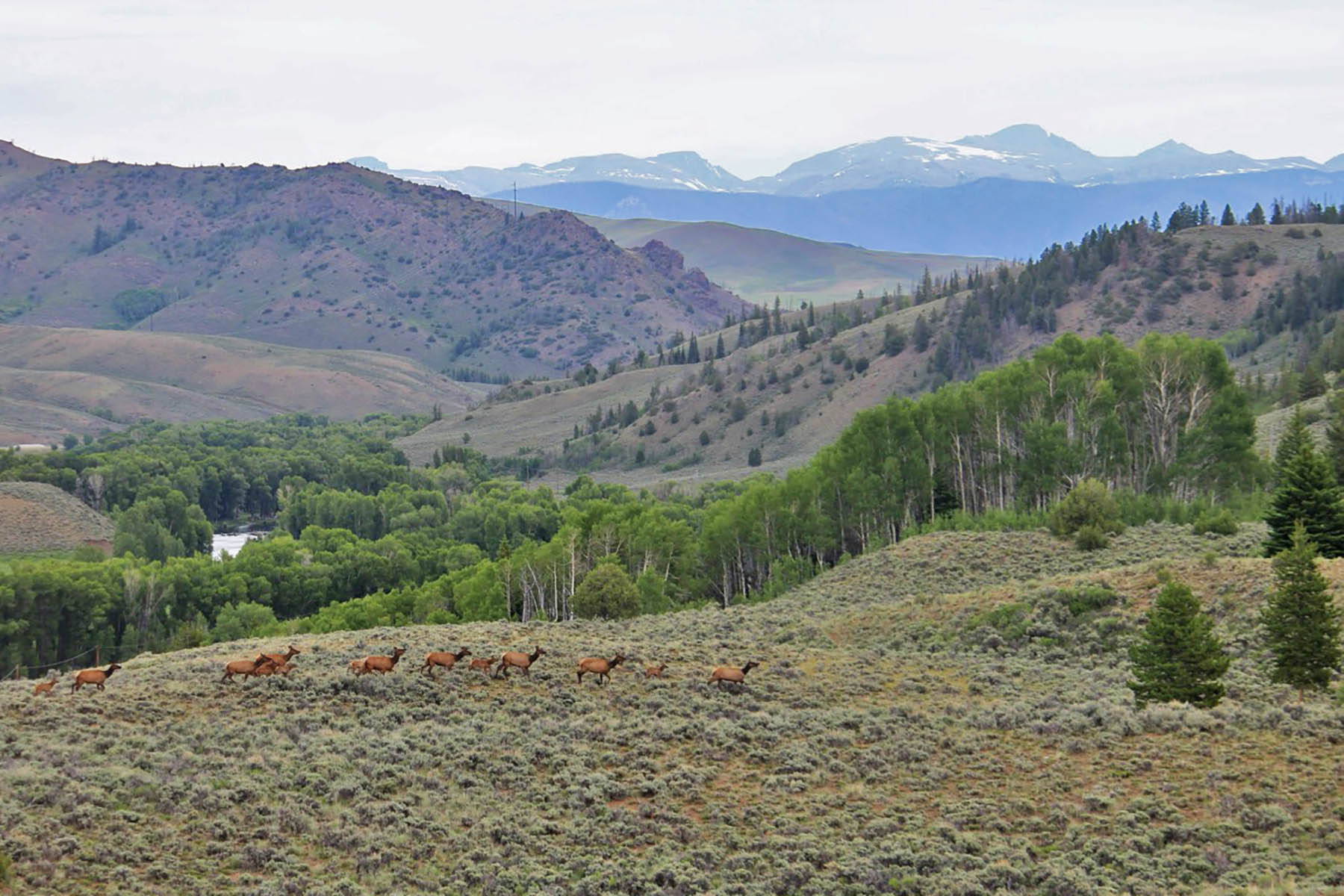 Marietta Creek Ranch property picture 41 of 59