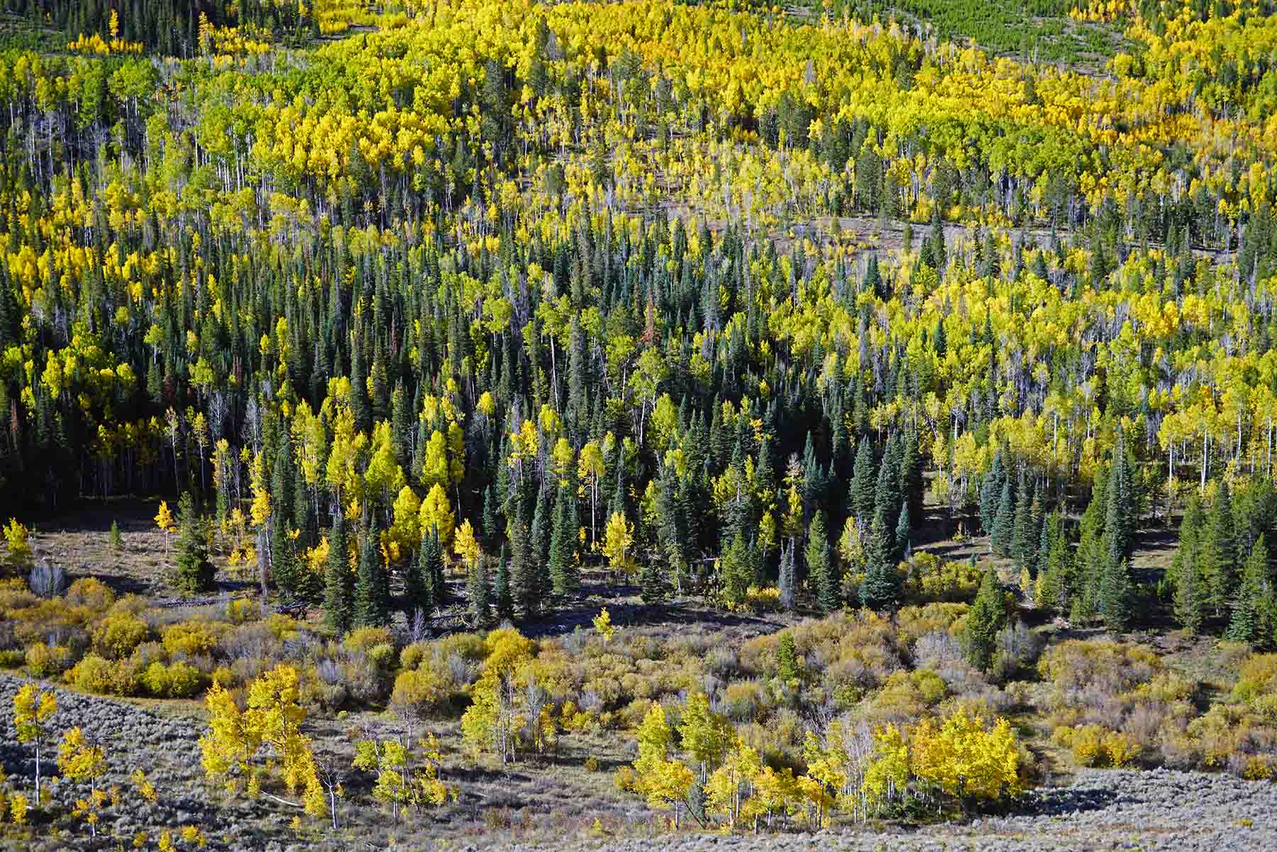 Marietta Creek Ranch property picture 6 of 59