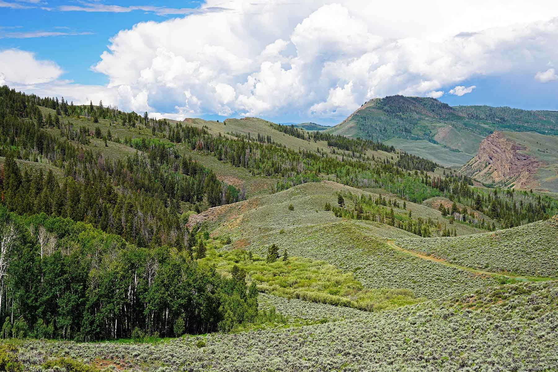 Marietta Creek Ranch property picture 55 of 59