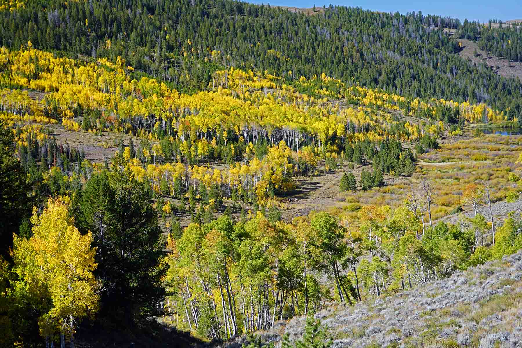 Marietta Creek Ranch property picture 10 of 59