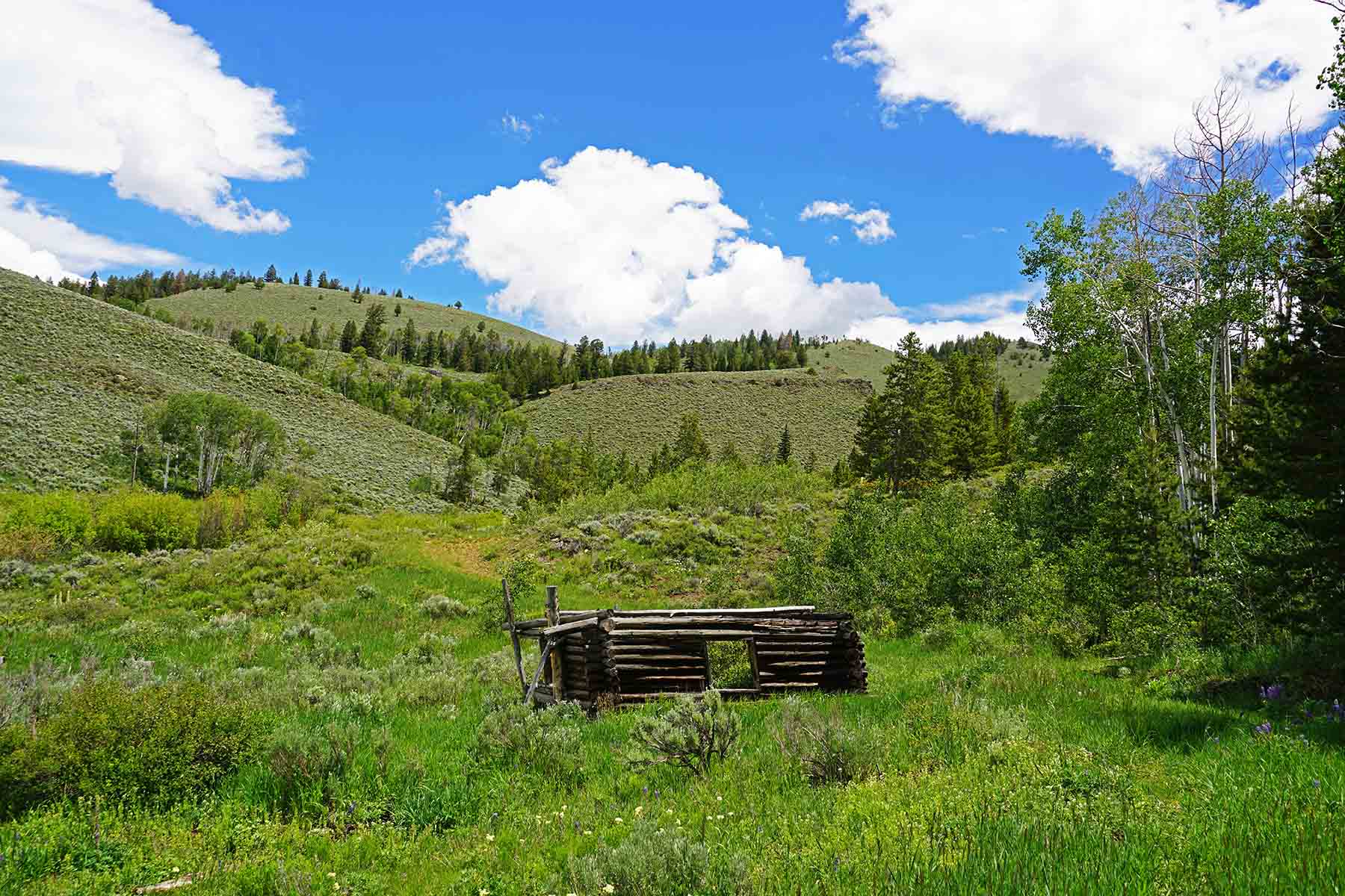 Marietta Creek Ranch property picture 52 of 59