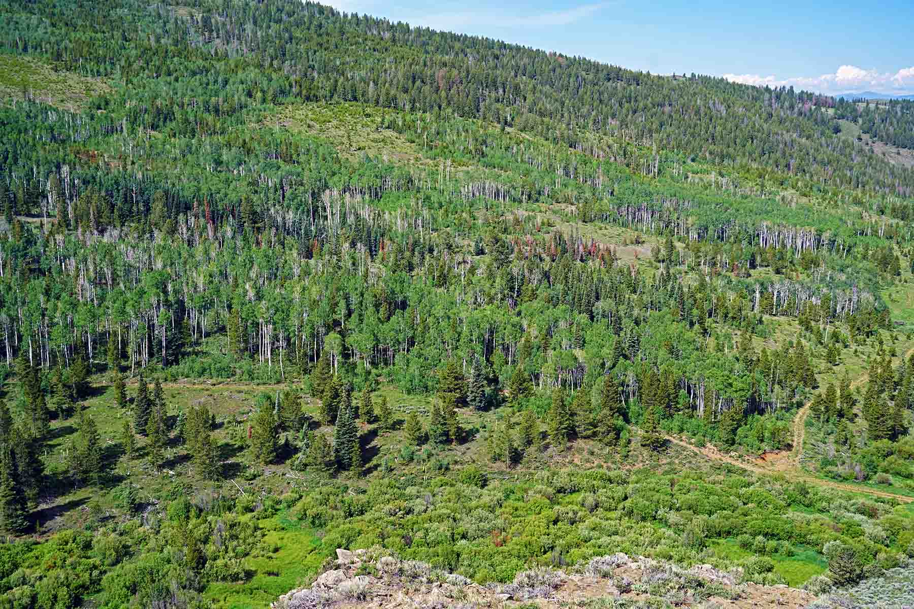 Marietta Creek Ranch property picture 44 of 59