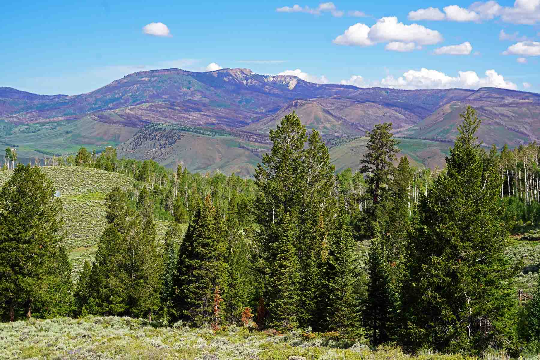 Marietta Creek Ranch property picture 50 of 59