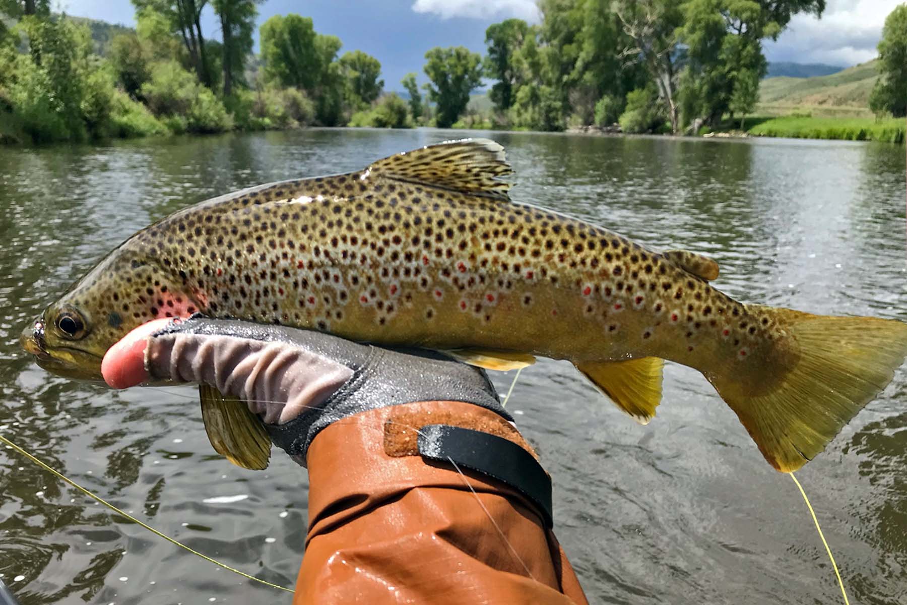 Marietta Creek Ranch property picture 12 of 59