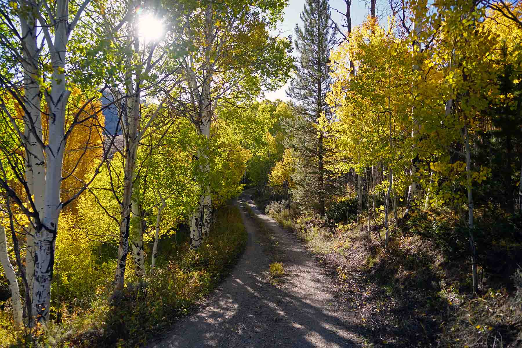 Marietta Creek Ranch property picture 25 of 59