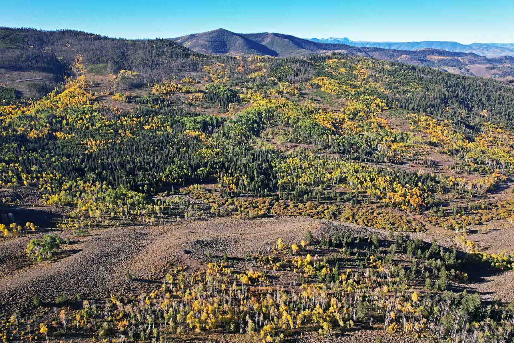 Marietta Creek Ranch property picture 7 of 59