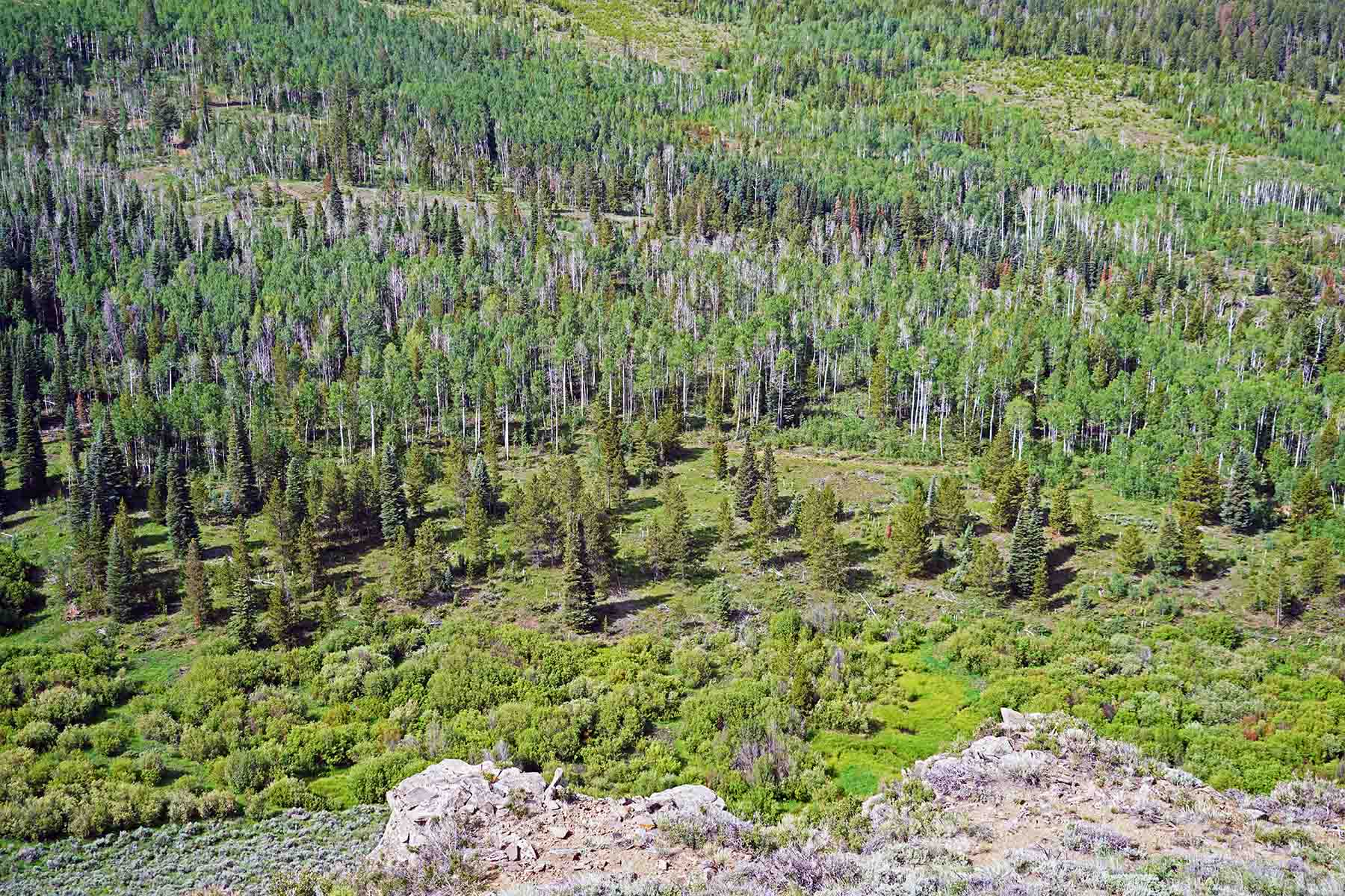 Marietta Creek Ranch property picture 57 of 59