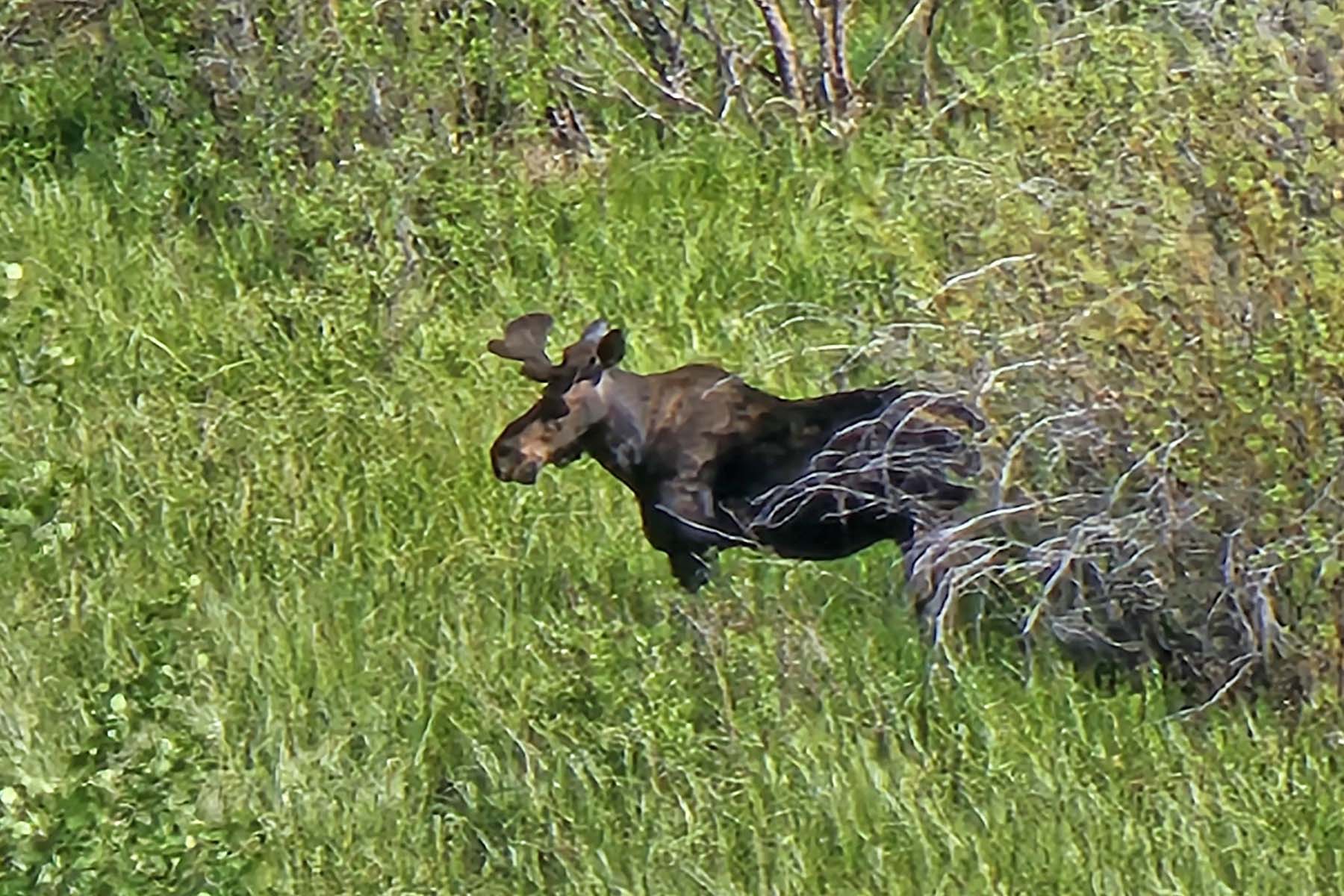 Marietta Creek Ranch property picture 17 of 59