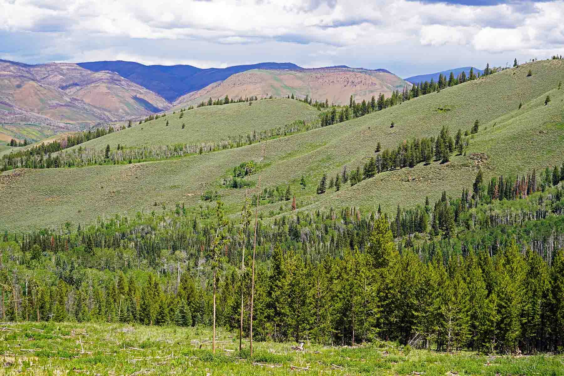 Marietta Creek Ranch property picture 54 of 59