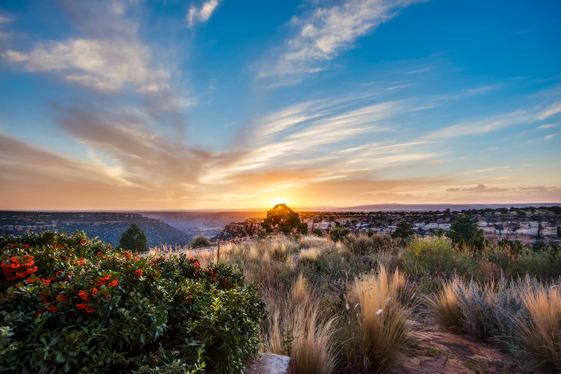 Dos Caballos property picture 86 of 87