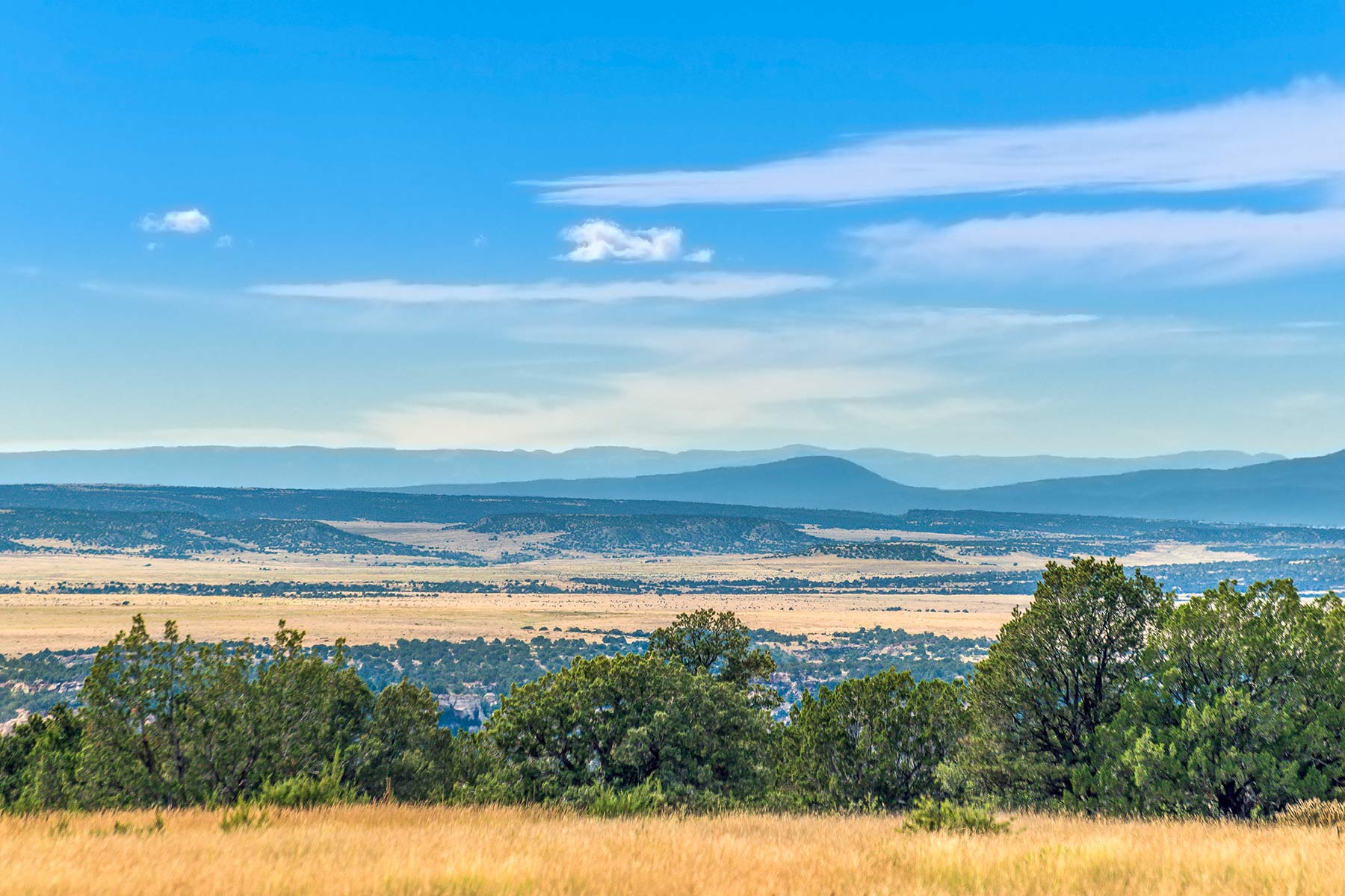 Dos Caballos property picture 31 of 87