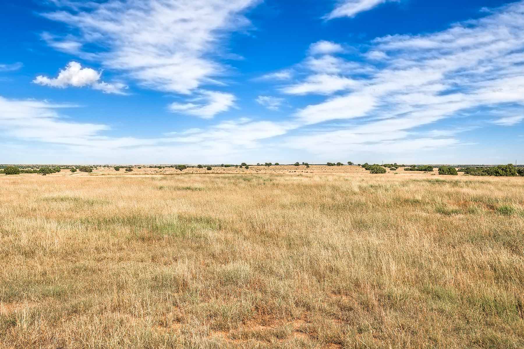 Dos Caballos property picture 24 of 87