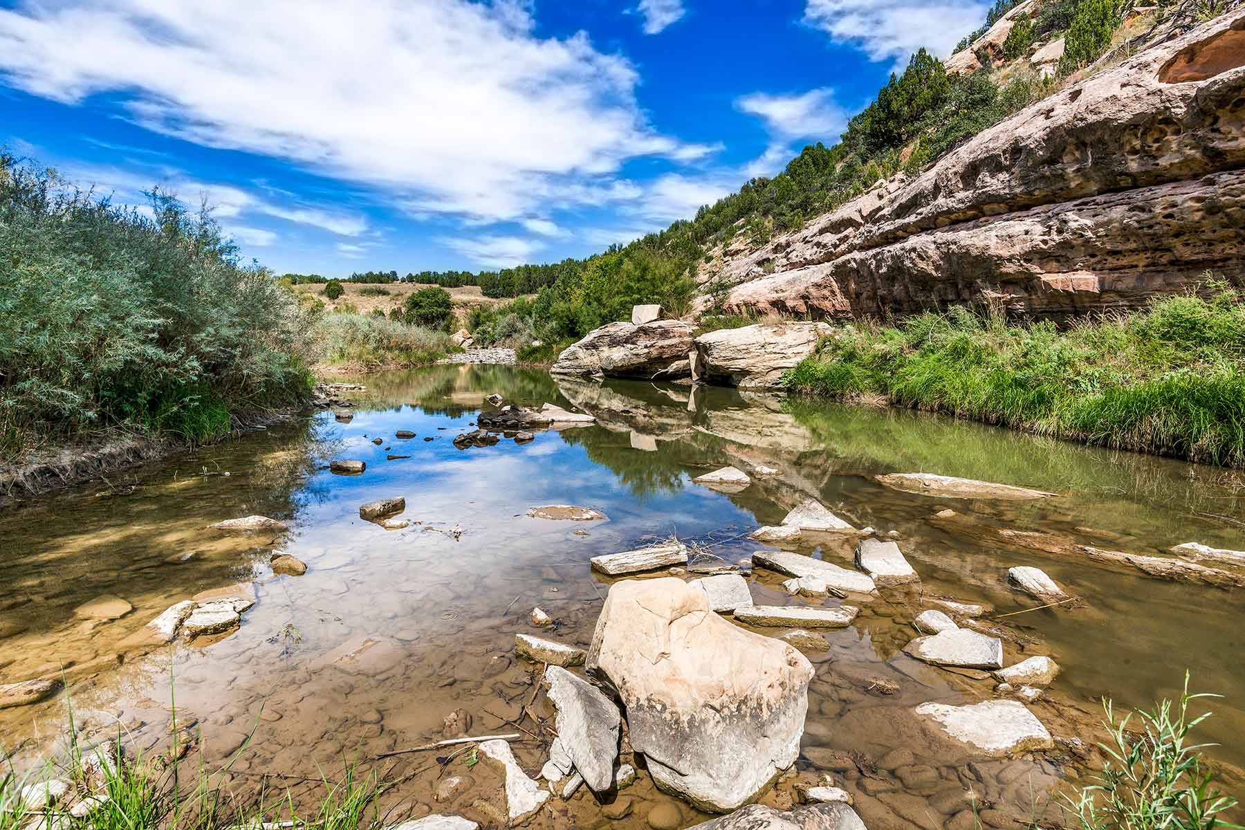 Dos Caballos property picture 81 of 87