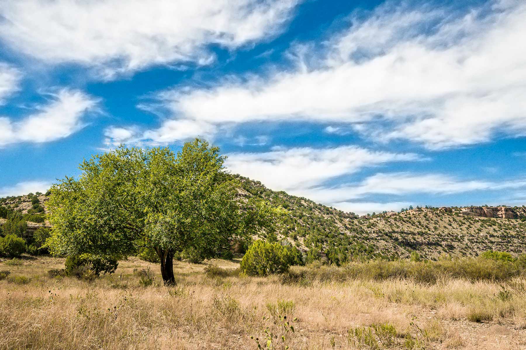 Dos Caballos property picture 80 of 87