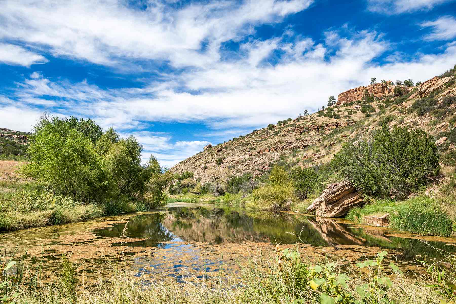 Dos Caballos property picture 6 of 87