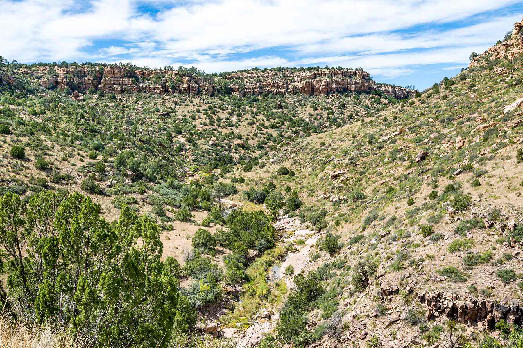 Dos Caballos property picture 7 of 87