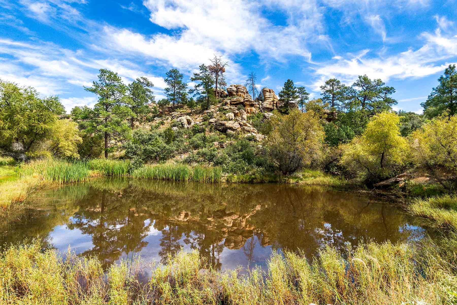 Dos Caballos property picture 8 of 87