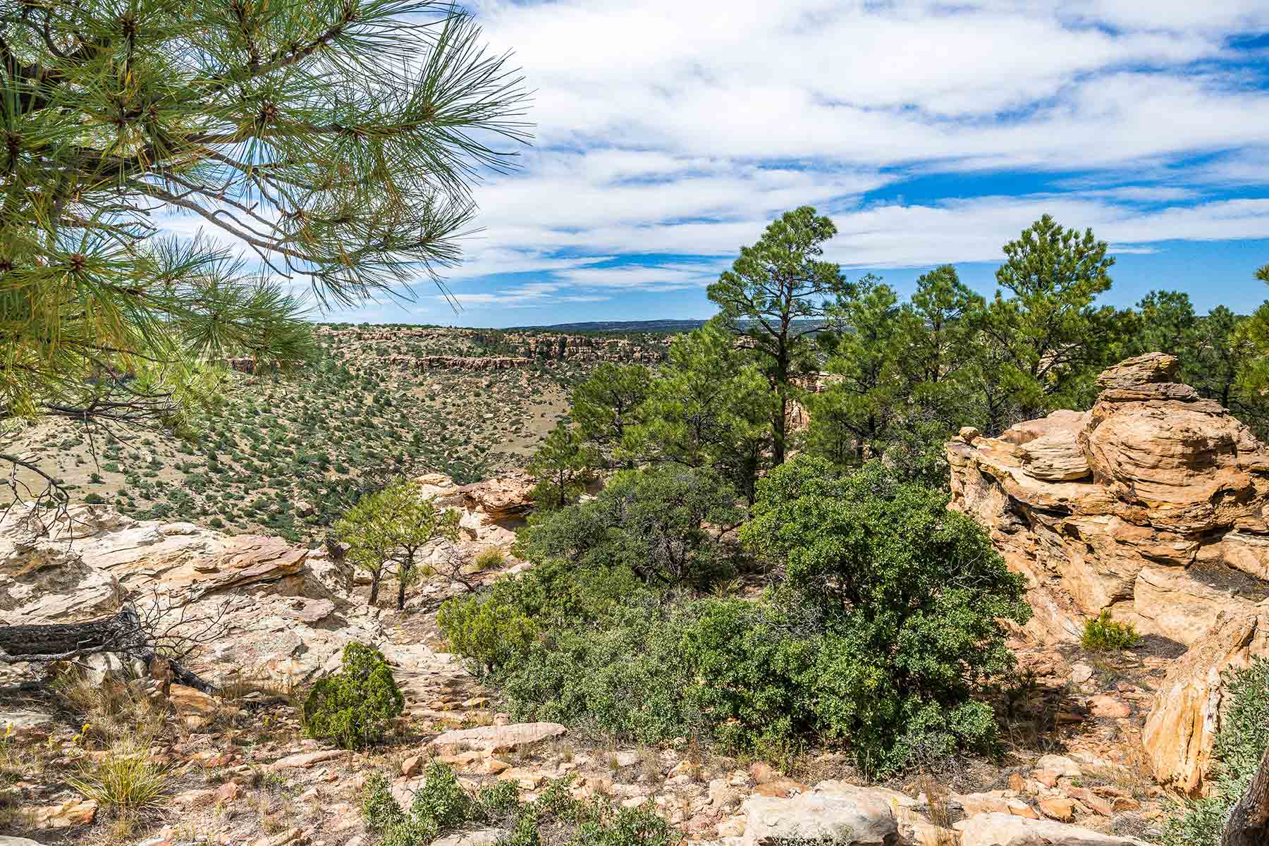 Dos Caballos property picture 19 of 87