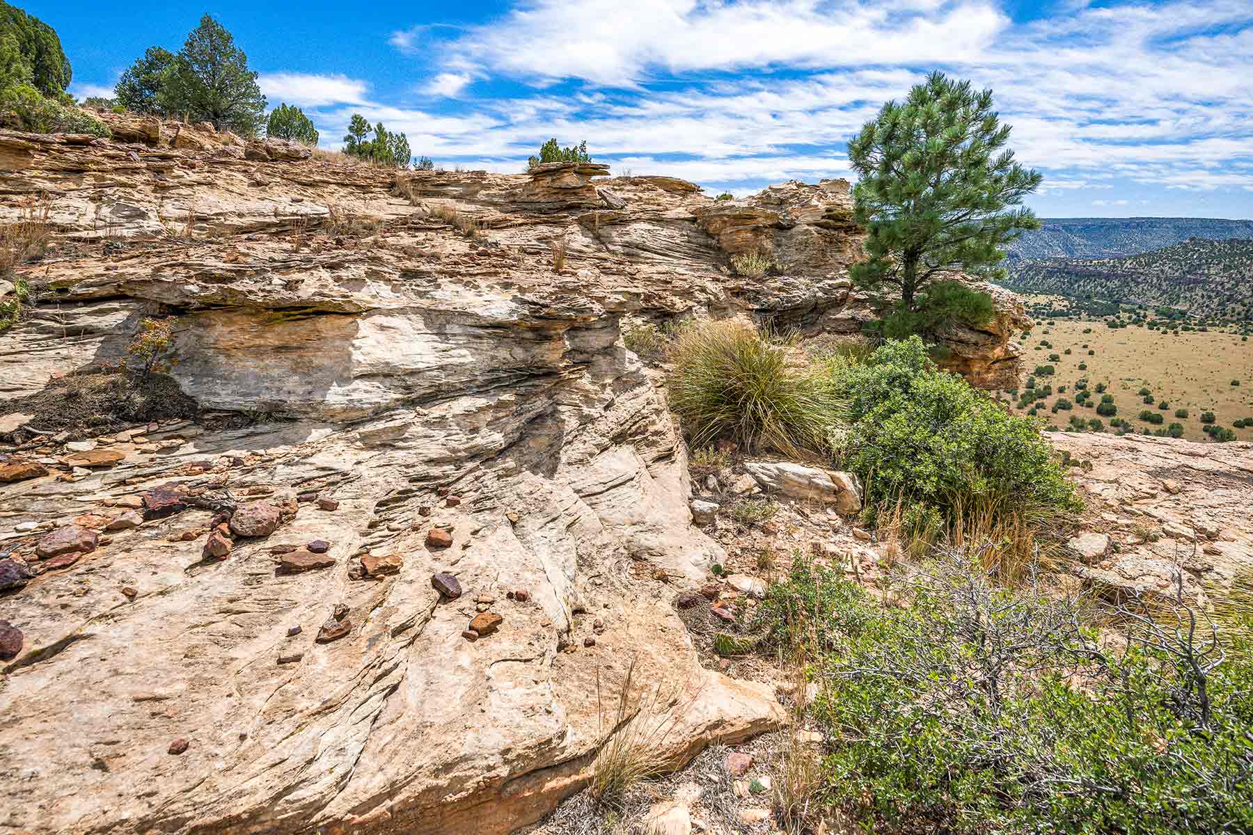 Dos Caballos property picture 10 of 87