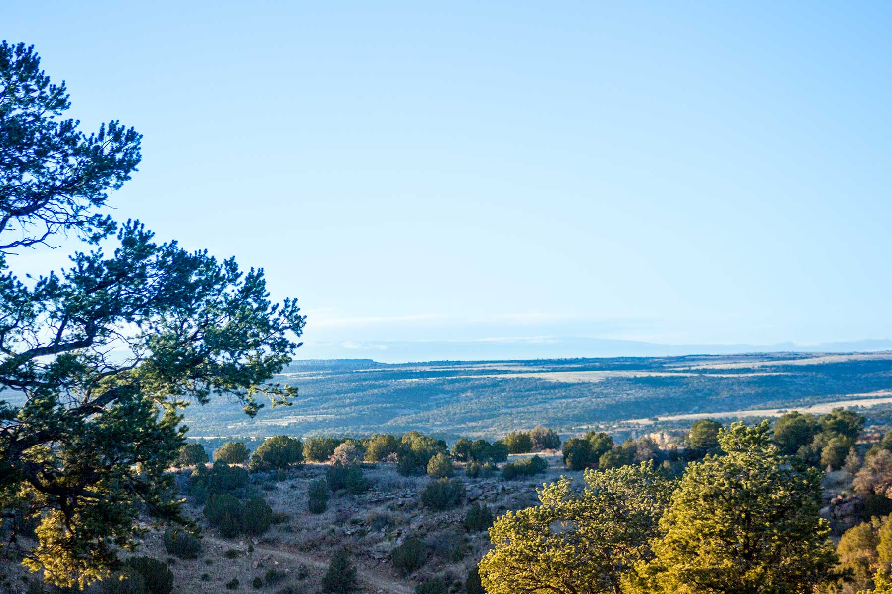 Dos Caballos property picture 70 of 87