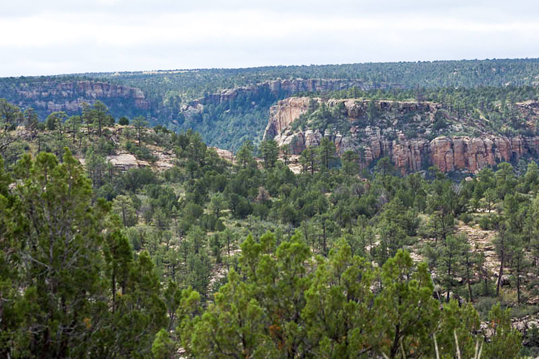 Dos Caballos property picture 77 of 87