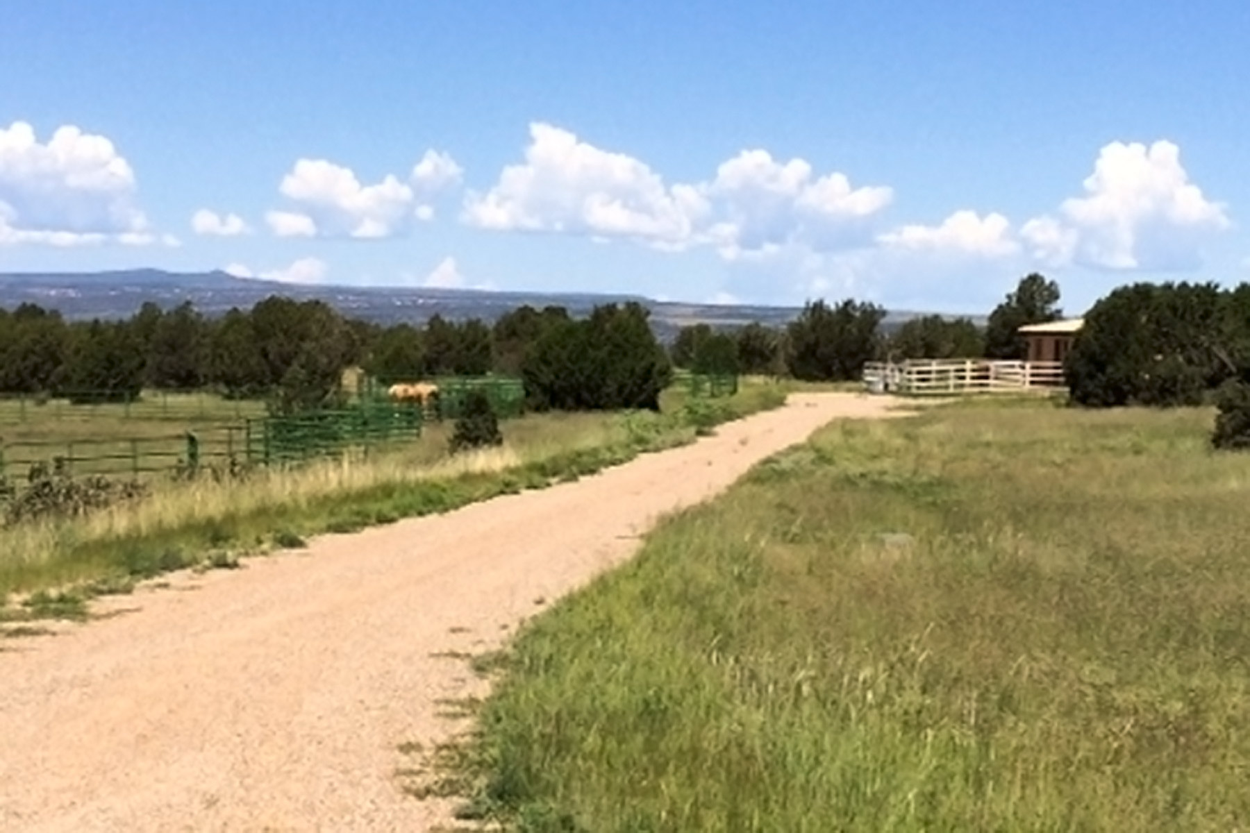 Dos Caballos property picture 62 of 87