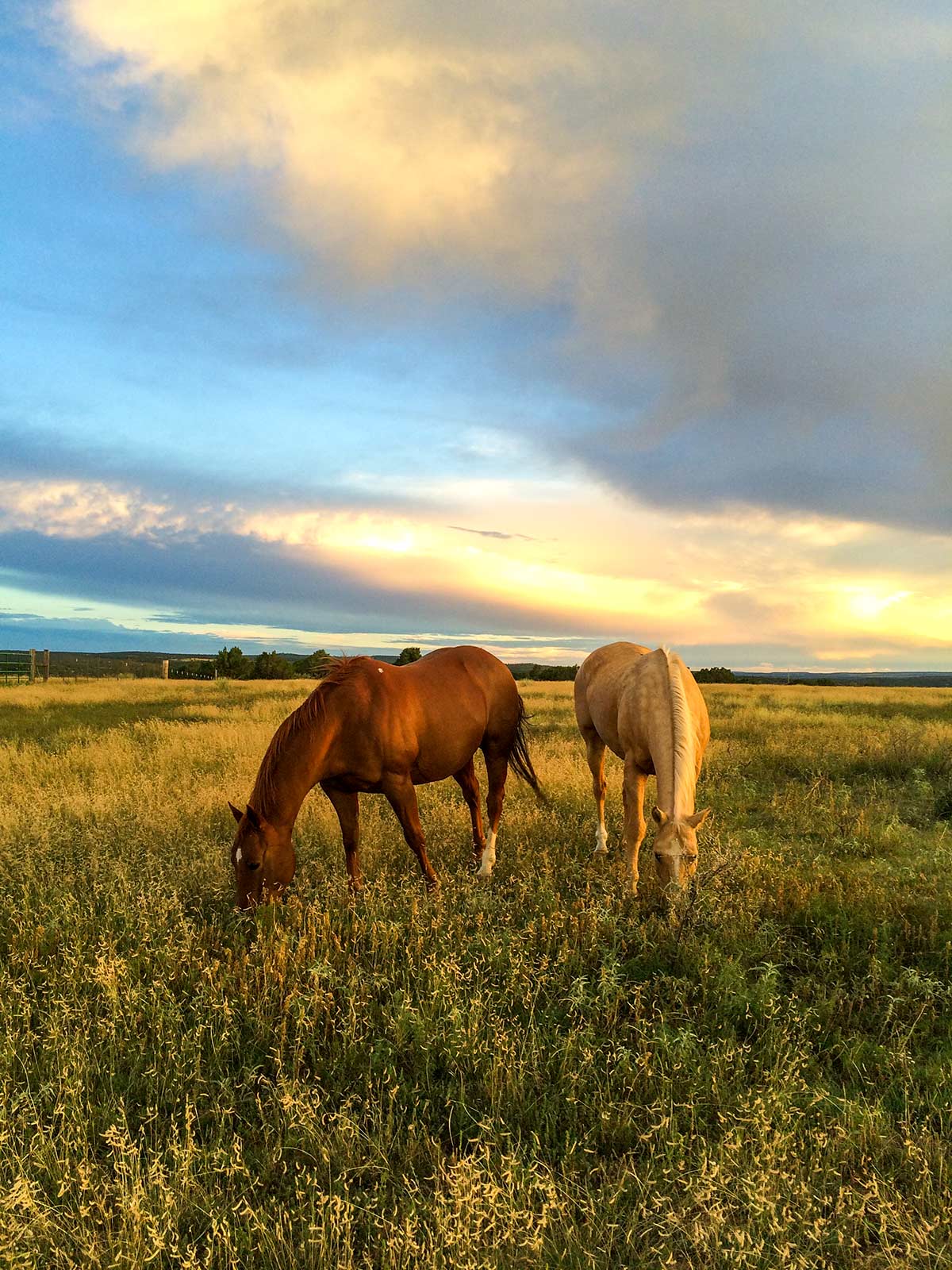 Dos Caballos property picture 78 of 87