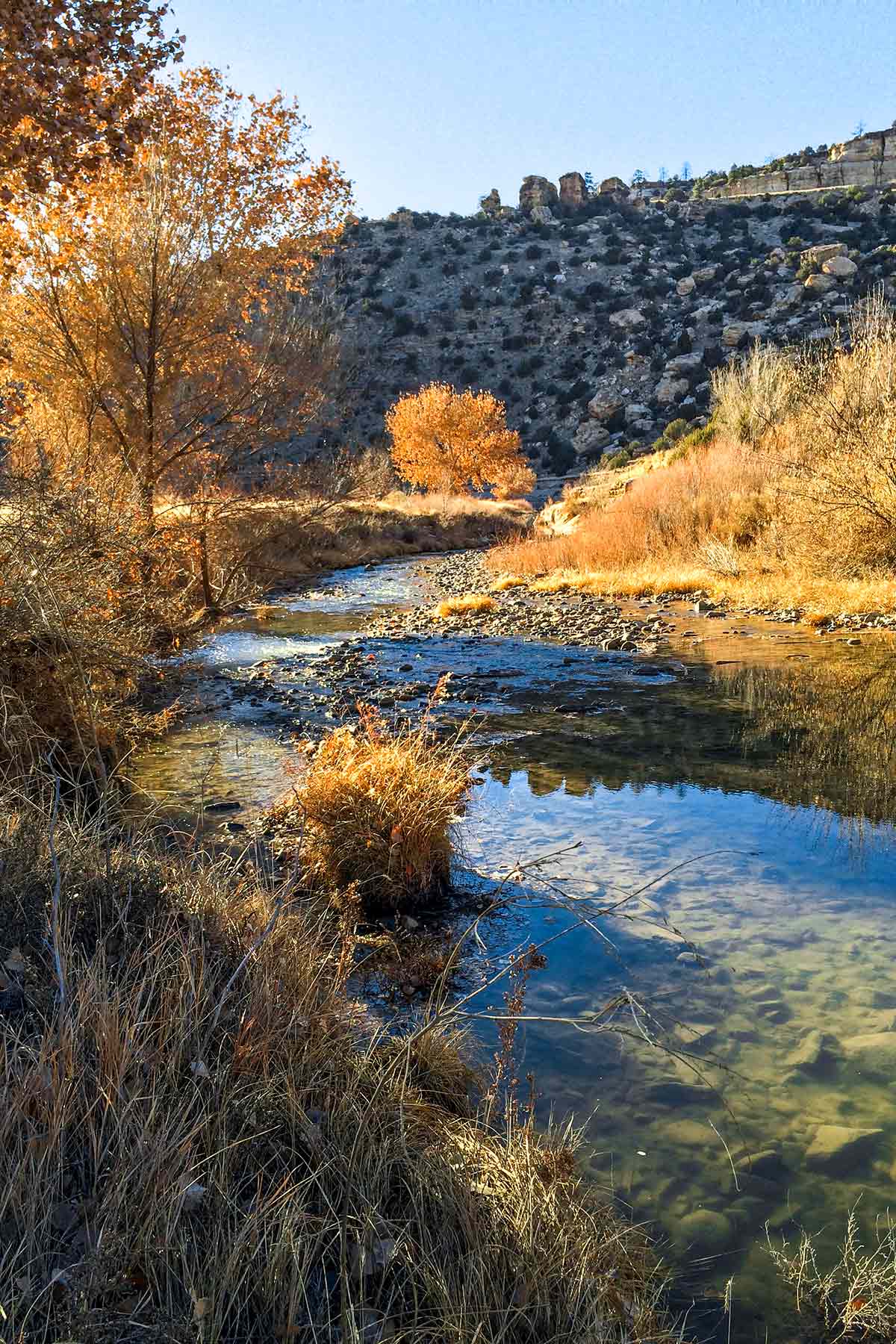 Dos Caballos property picture 76 of 87