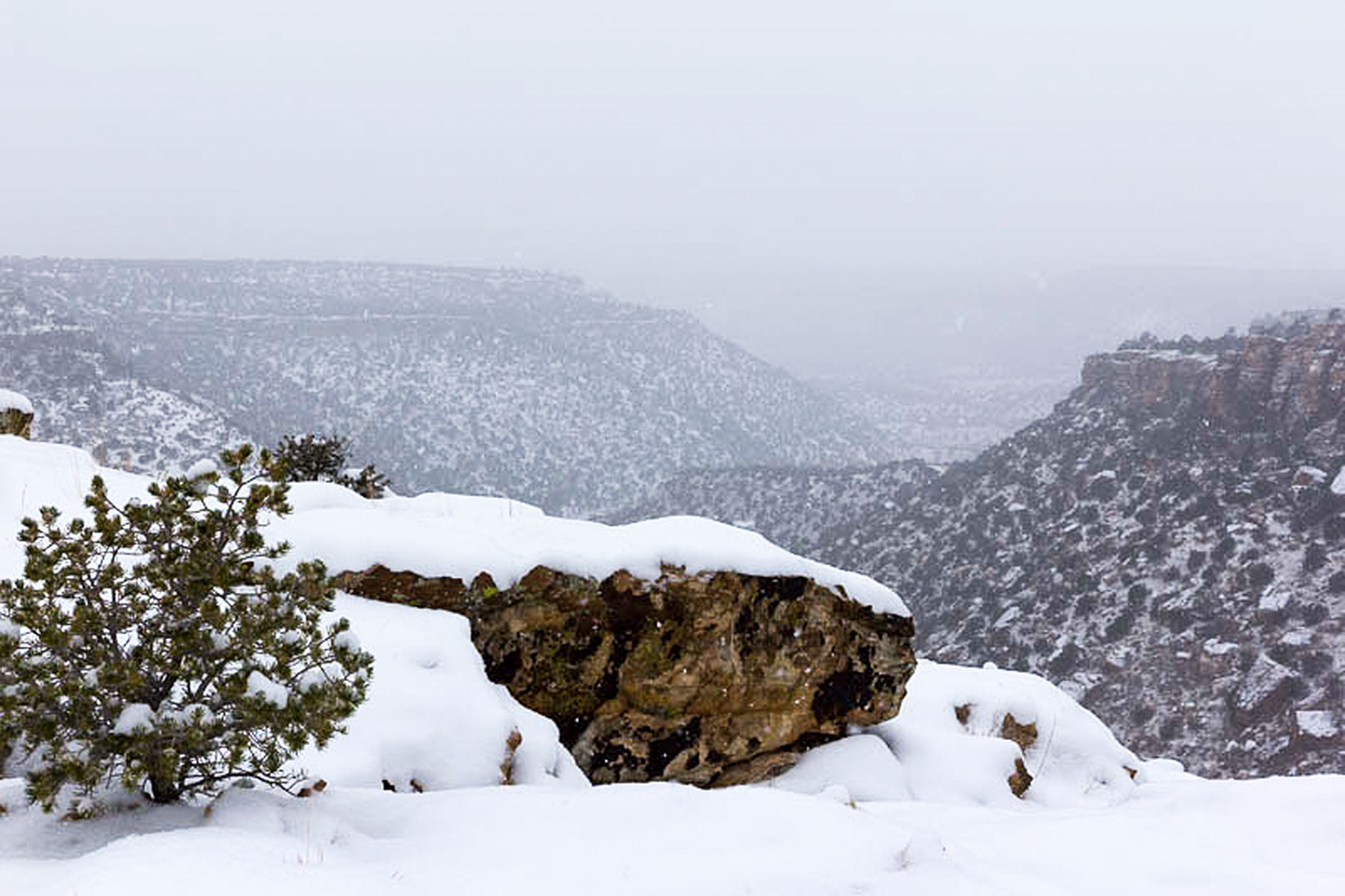 Dos Caballos property picture 83 of 87