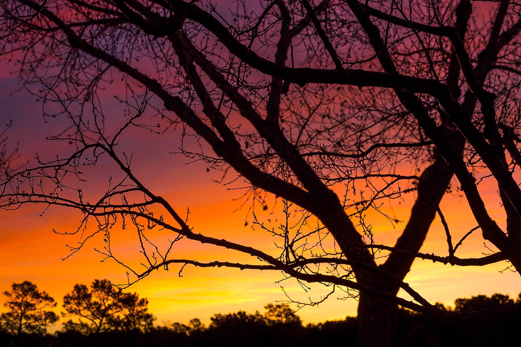 Dos Caballos property picture 50 of 87