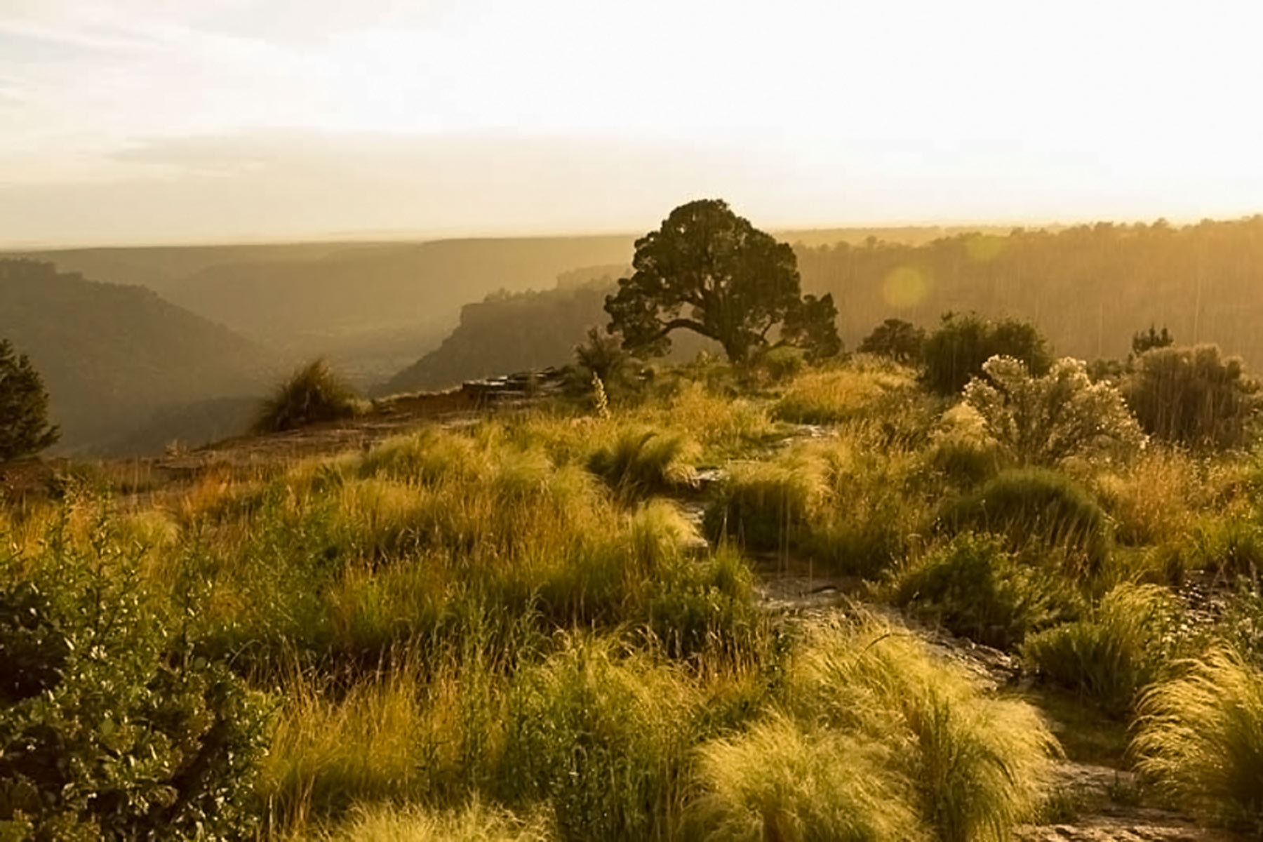 Dos Caballos property picture 26 of 87