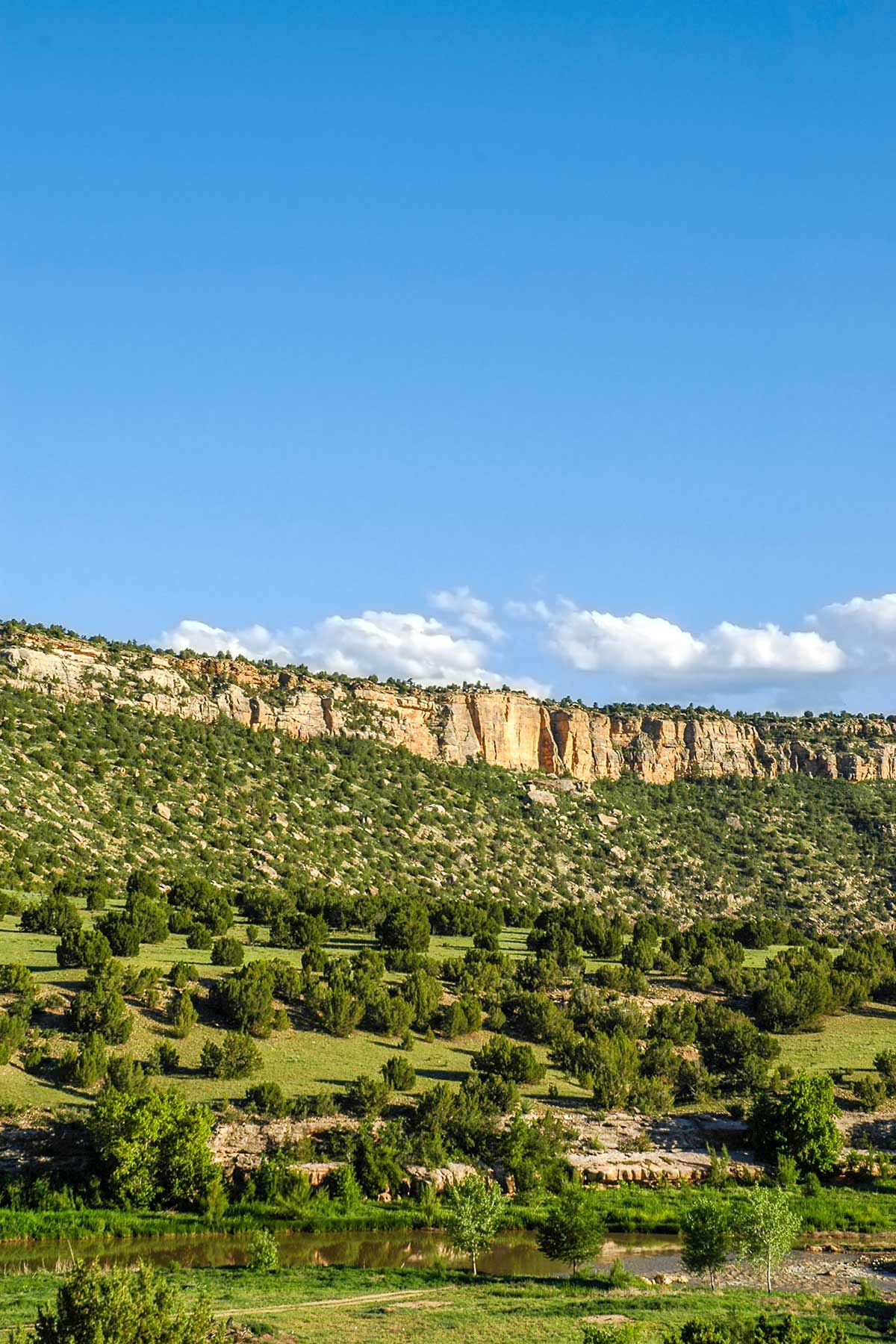 Dos Caballos property picture 23 of 87