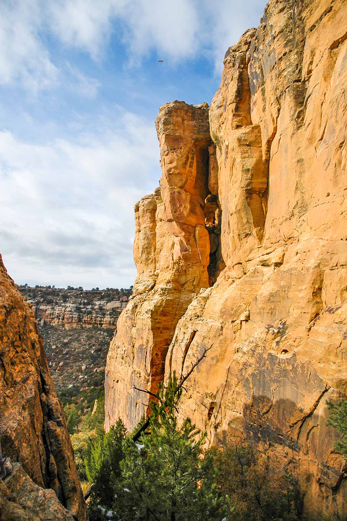 Dos Caballos property picture 22 of 87