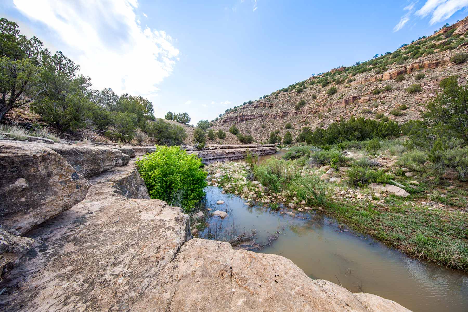 Dos Caballos property picture 64 of 87