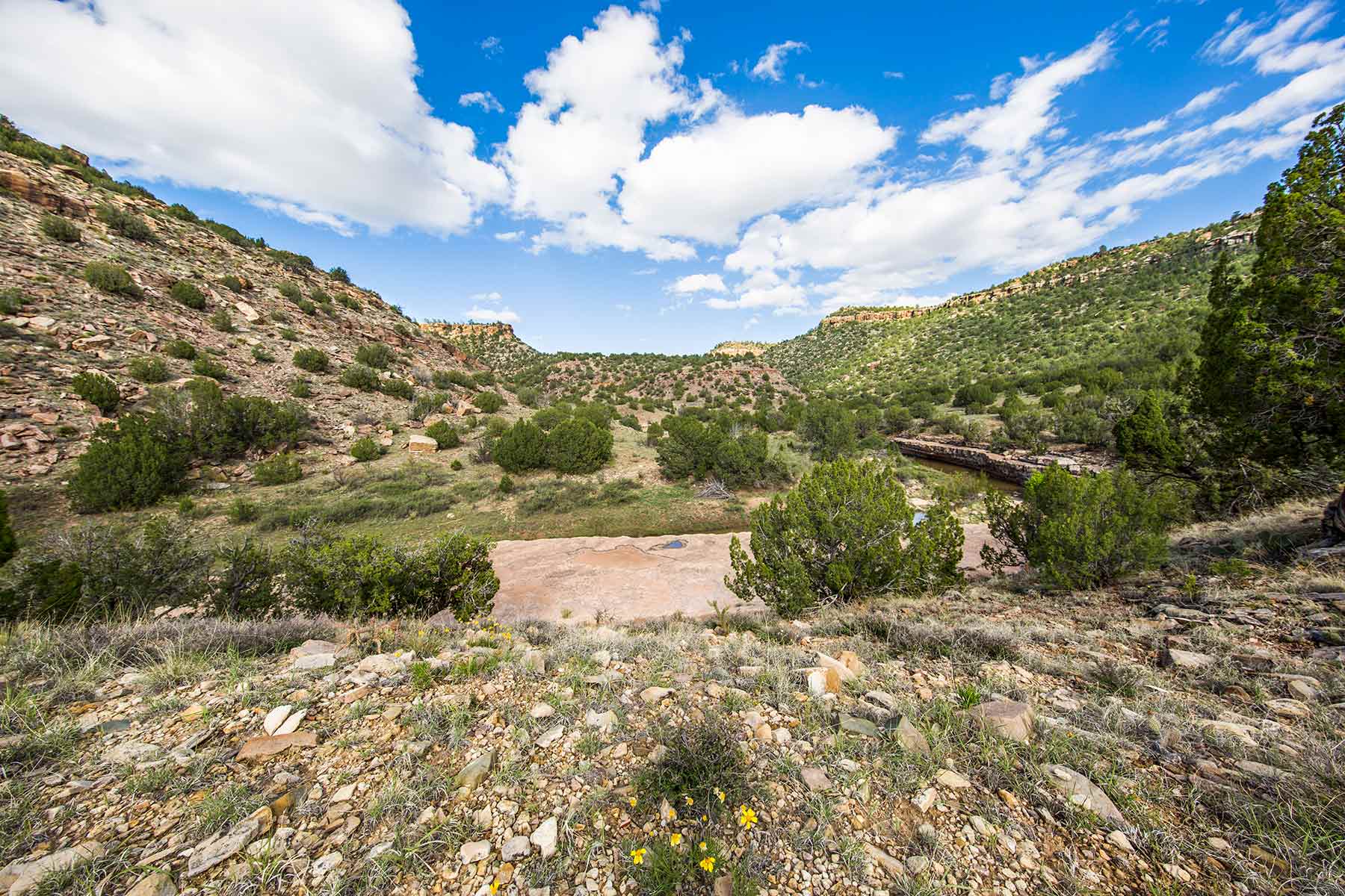 Dos Caballos property picture 37 of 87