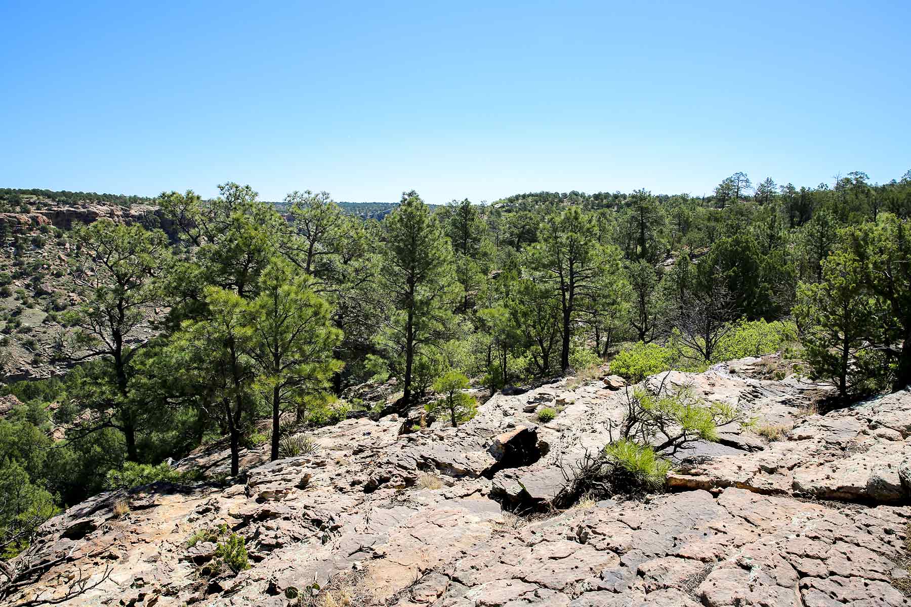 Dos Caballos property picture 71 of 87