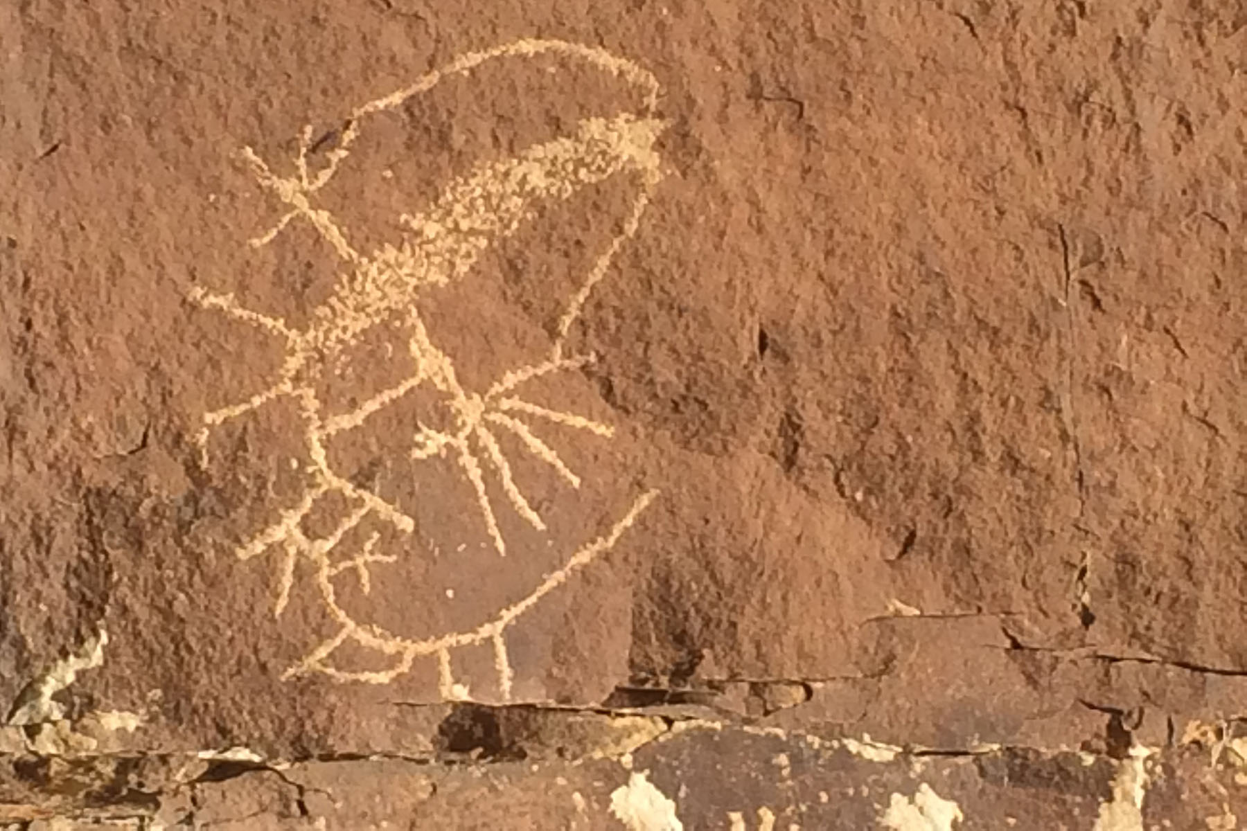 Saddle Horn Ranch property picture 5 of 25