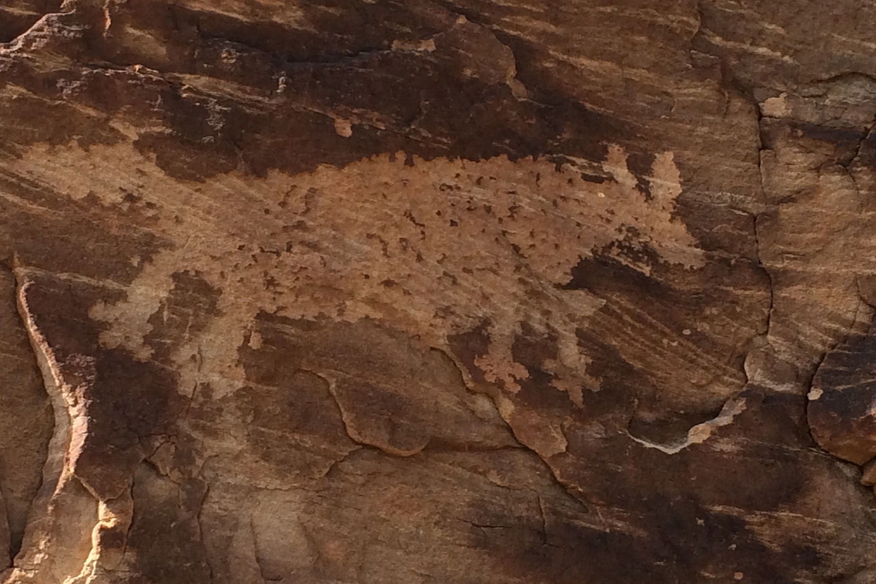 Saddle Horn Ranch property picture 6 of 25