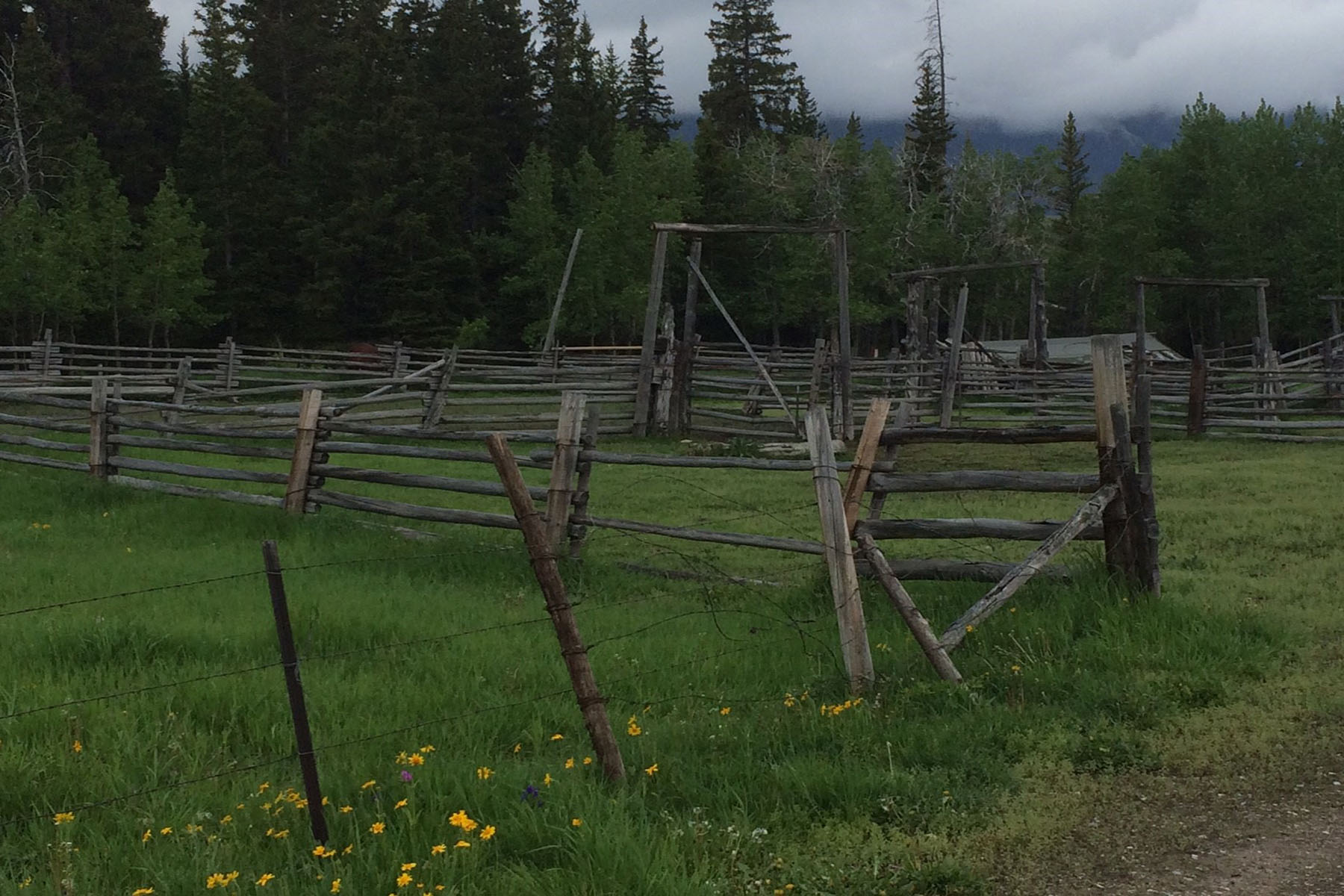 Saddle Horn Ranch property picture 24 of 25