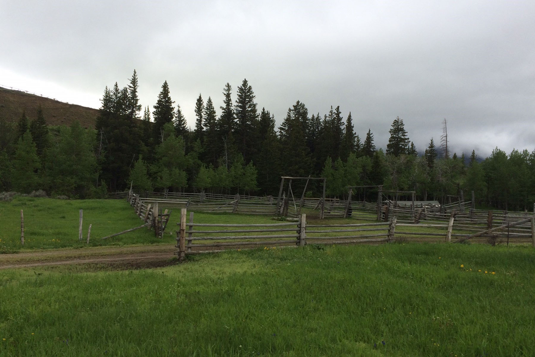 Saddle Horn Ranch property picture 8 of 25