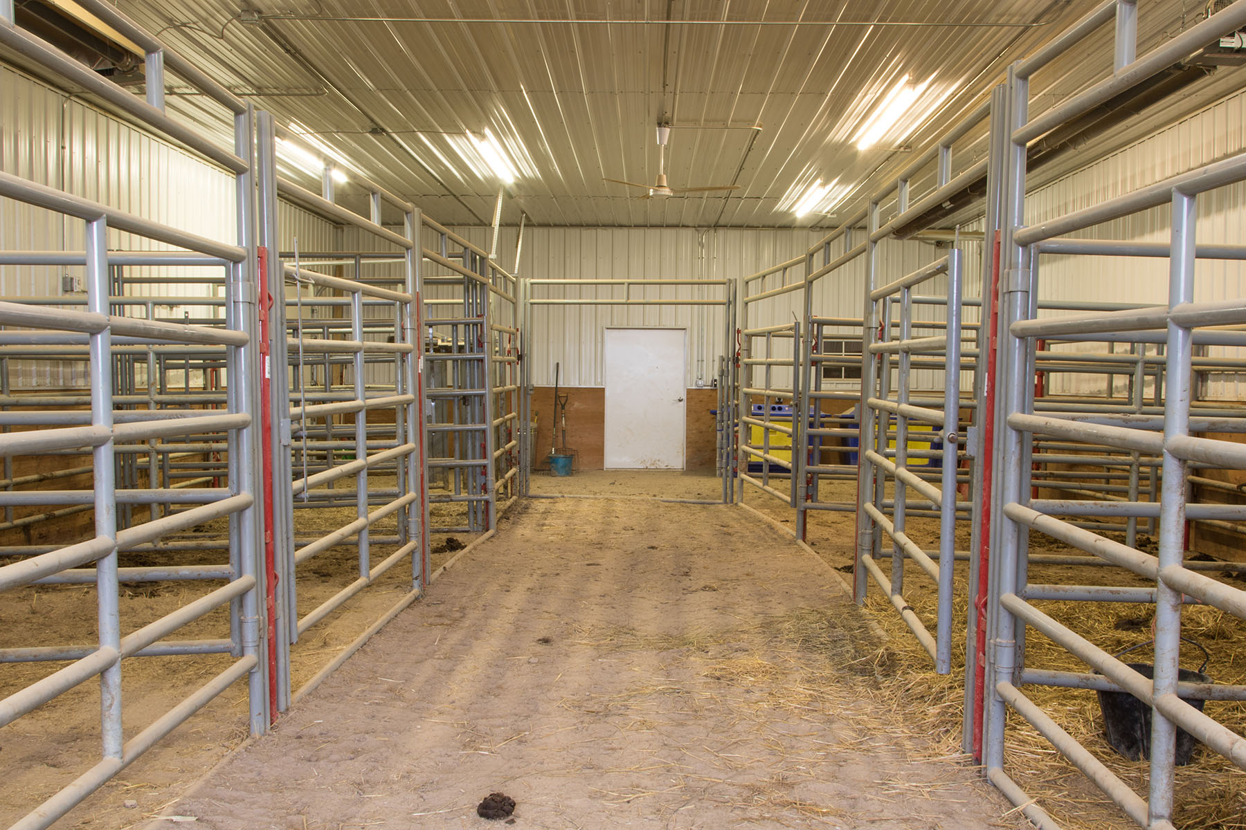 Saddle Horn Ranch property picture 21 of 25